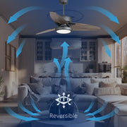 Light Pro 52 In. LED Indoor Jet Black Smart Ceiling Fan With Light Kit And Reversible DC Motor