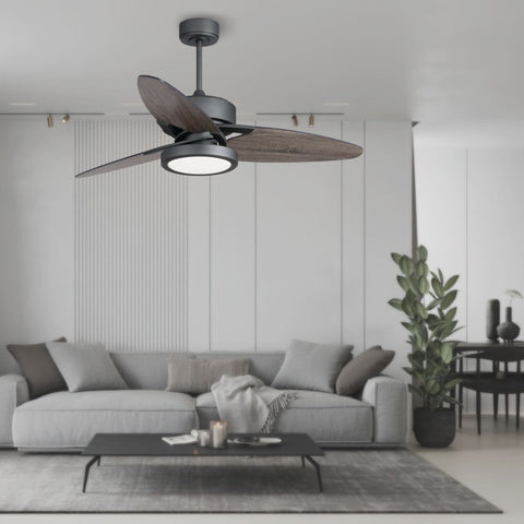 Light Pro 52 In. LED Indoor Jet Black Smart Ceiling Fan With Light Kit And Reversible DC Motor